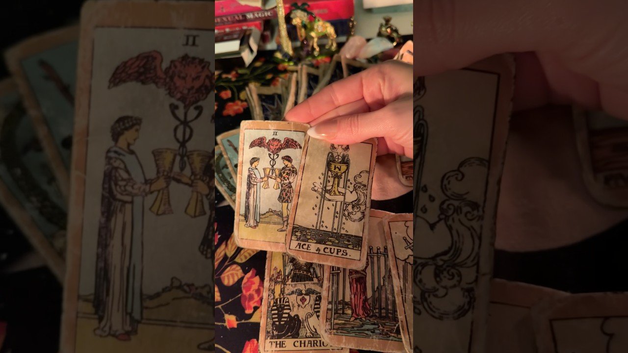 No momento, você está visualizando ✨Czy warto dać szansę tej osobie?🥰❤️✨ #miłość #tarot #bliźniaczepłomienie #bratniedusze