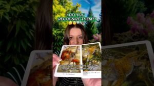 Leia mais sobre o artigo DO YOU RECOGNIZE THEM?? 🤔🧐🔍👁️   #shorts #tarot #themetamystic