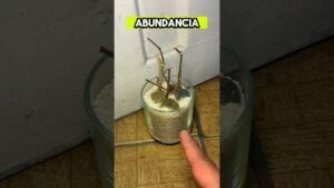 Leia mais sobre o artigo El vaso de la suerte para la abundancia ✨ #tarot #ritualesmagicos #usa #brujeria #fty