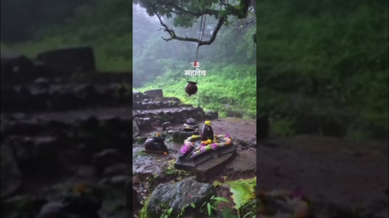 No momento, você está visualizando har har Mahadev #kedarnath #tarot #bholenath #love #mahadiv #mahadev #shorts #viral #viralreels