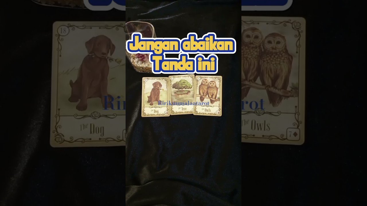No momento, você está visualizando Jangan abaikan tanda ini #tarot #videos #viralvideo #videoshort #ririkuumalaatarot