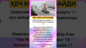 Leia mais sobre o artigo kanalimiz rivoji uchun uz hisangizdi qushing #tarot #memes #azob #tarot #memes #azob #rek #baby