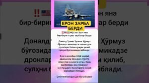 Leia mais sobre o artigo kanalimiz rivoji uchun uz hisangizdi qushing #love #tarot #rek #azob #aviation #news #kpop #fup #cat