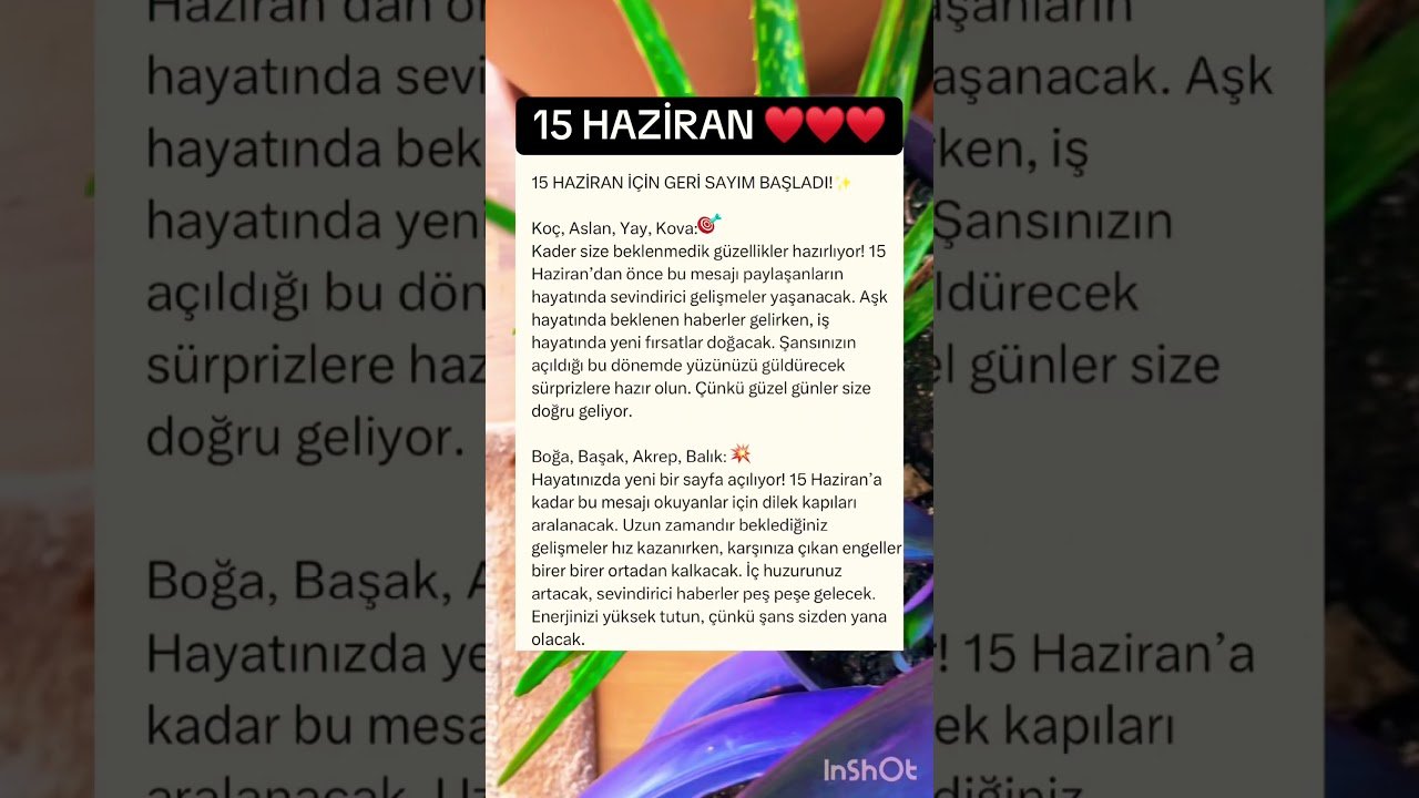 No momento, você está visualizando #keşfet #tarot #kesvet #burçyorumları #tarotreading