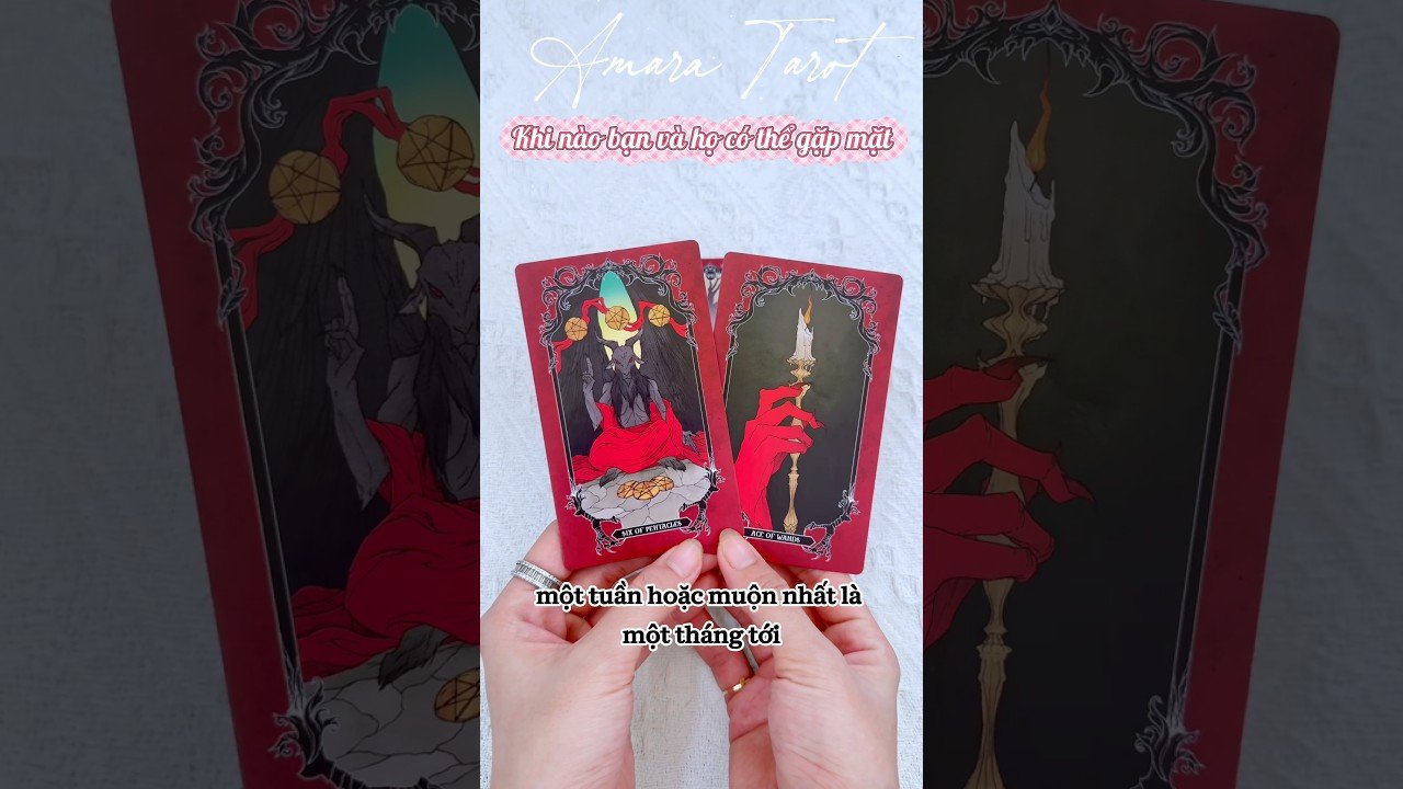 No momento, você está visualizando KHI NÀO BẠN VÀ HỌ CÓ THỂ GẶP MẶT 💐 #tarot