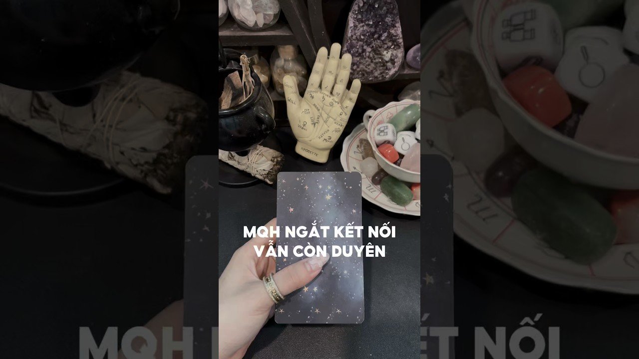No momento, você está visualizando Mối quan hệ ngắt kết nối vẫn còn duyên #tarot #duongtarot #tarotreels #tarotvietnam #tarotonline
