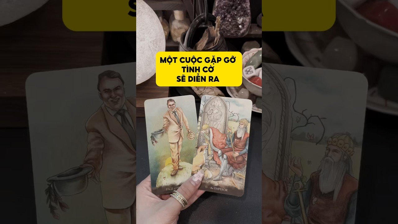 No momento, você está visualizando Một cuộc gặp gỡ tình cờ sẽ diễn ra #tarot #duongtarot #tarotvietnam #tarotonline #tinhyeu ￼