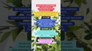 Leia mais sobre o artigo Mesajın var💌💖🧲 #tarot #aklımdakikişitarotaçilimi #astroloji #enerji #astrolojiyolculugu