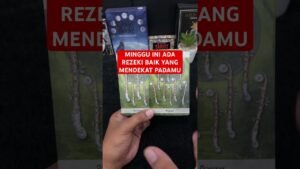 Leia mais sobre o artigo MINGGU INI ADA REZEKI BAIK YANG MENDEKAT PADAMU #tarot #tarotreading
