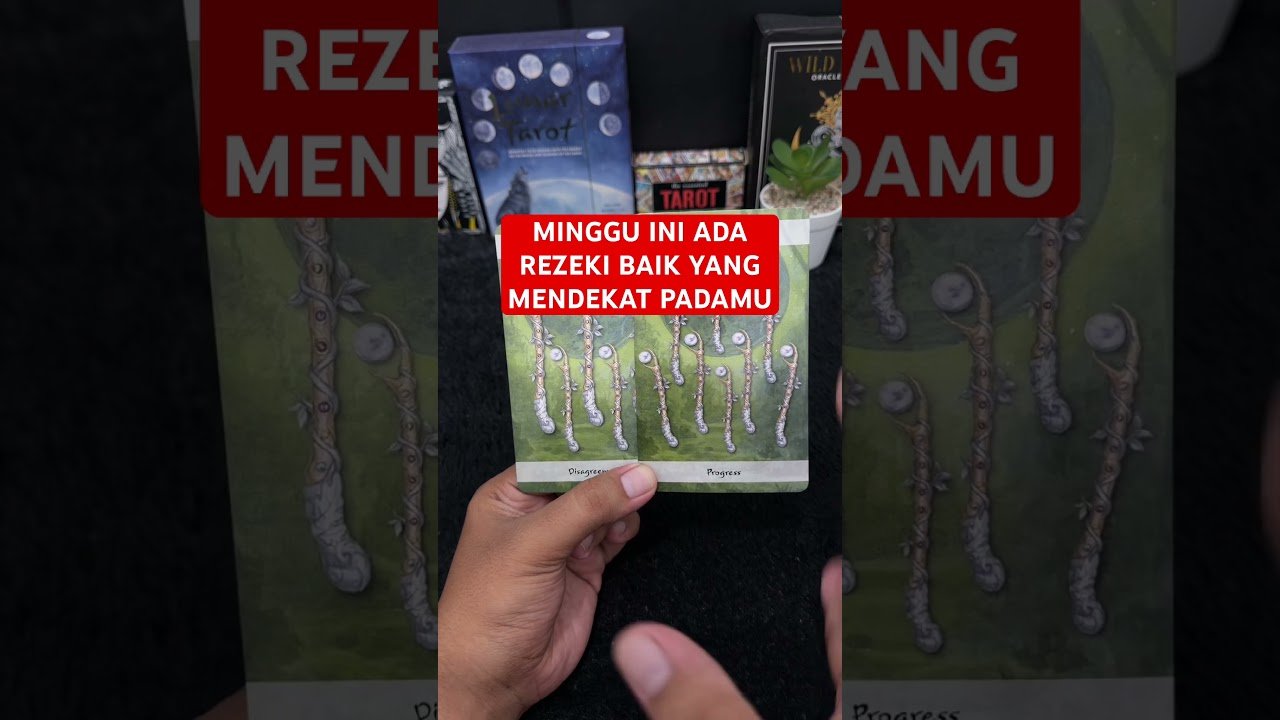 No momento, você está visualizando MINGGU INI ADA REZEKI BAIK YANG MENDEKAT PADAMU #tarot #tarotreading