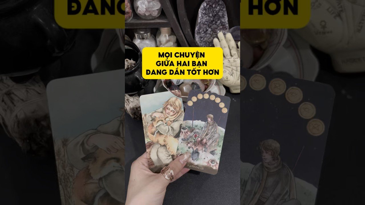 No momento, você está visualizando Mọi chuyện giữa hai bạn đang dần tốt hơn #tarot #duongtarot #tarotvietnam #tarotonline #tinhyeu