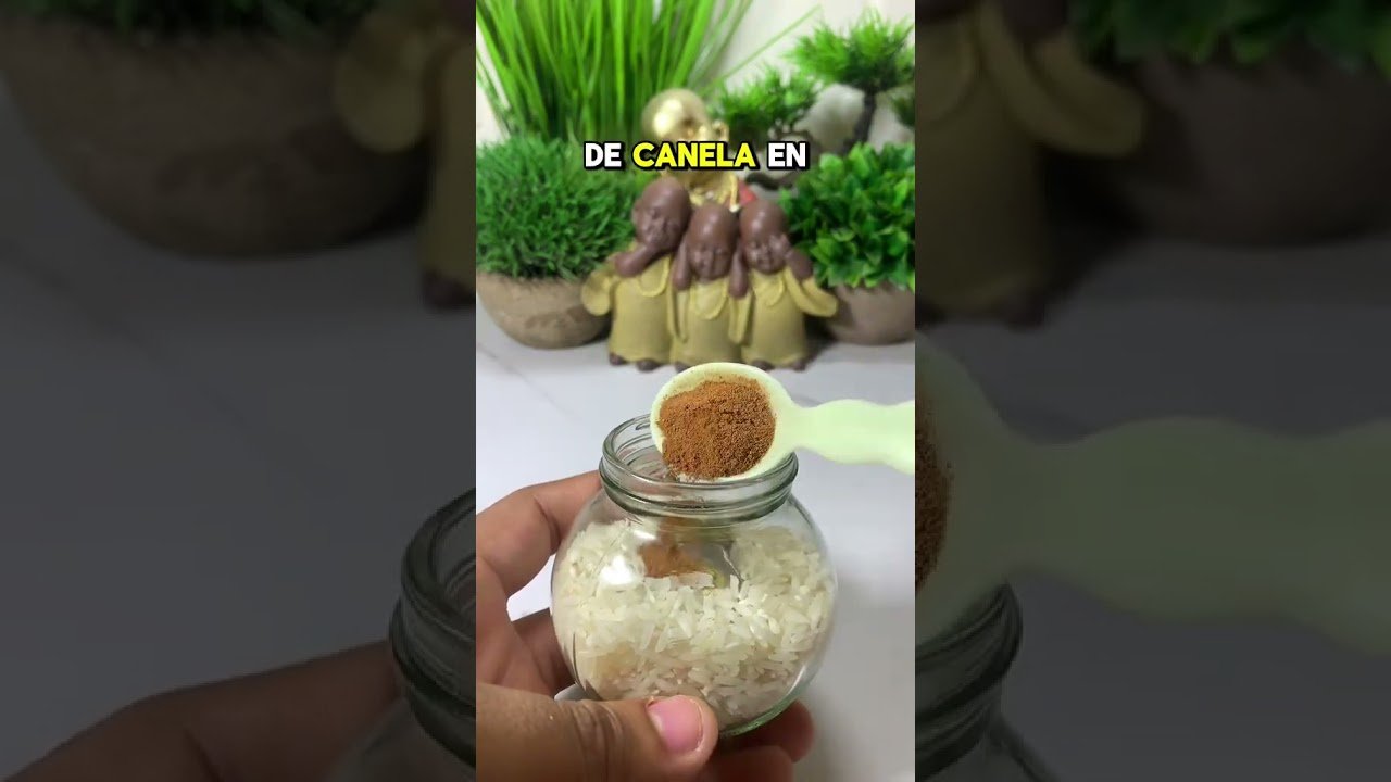 No momento, você está visualizando Paga todas tus deudas #lecturacartas #tarot #deudas