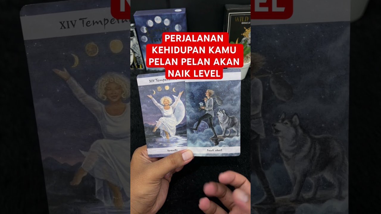 No momento, você está visualizando PERJALANAN KEHIDUPAN KAMU PELAN PELAN AKAN NAIK LEVEL #tarot #tarotreading