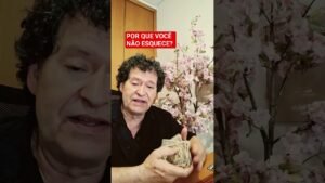 Leia mais sobre o artigo POR QUE VOCÊ NÃO ESQUECE ESSA PESSOA? #magiaetarothorus #tarot #amor #almagemea