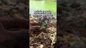 Leia mais sobre o artigo San Miguel Arcángel corta con su espada cualquier preocupación, #sanmiguelarcángel #tarot