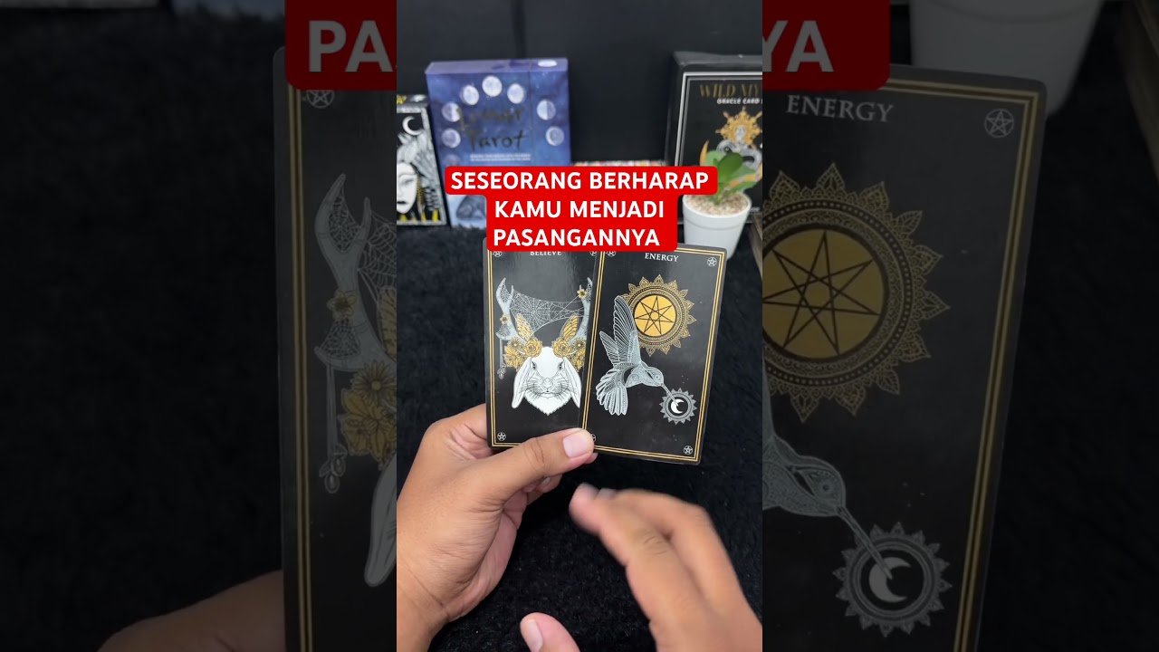 No momento, você está visualizando SESEORANG BERHARAP KAMU MENJADI PASANGANNYA #tarot #tarotreading