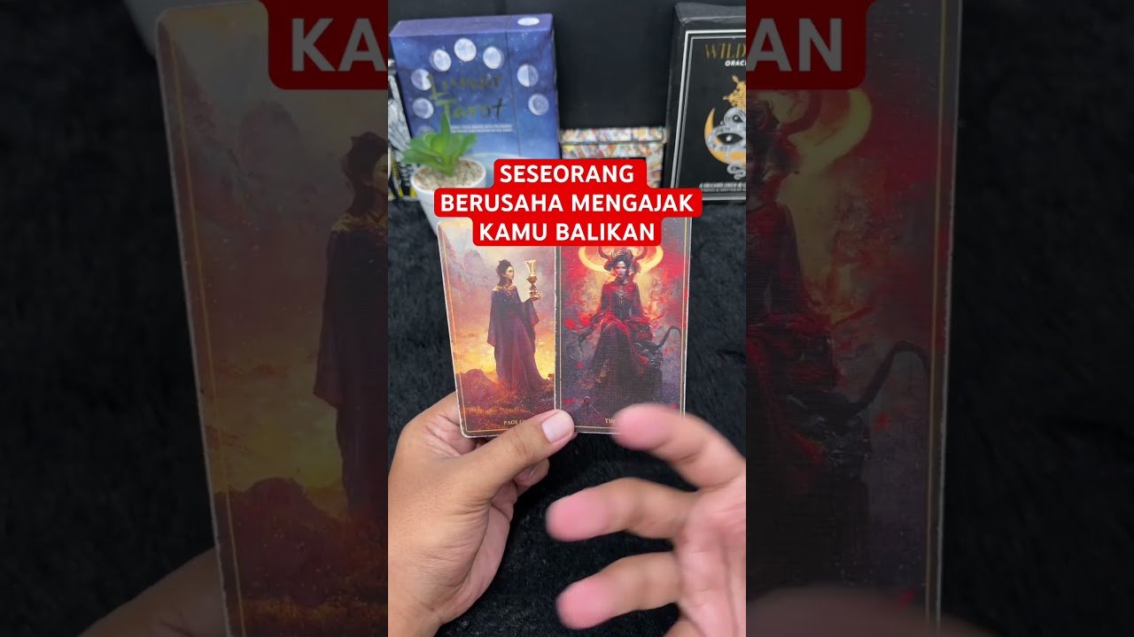 No momento, você está visualizando SESEORANG BERUSAHA MENGAJAK KAMU BALIKAN #tarot #tarotreading