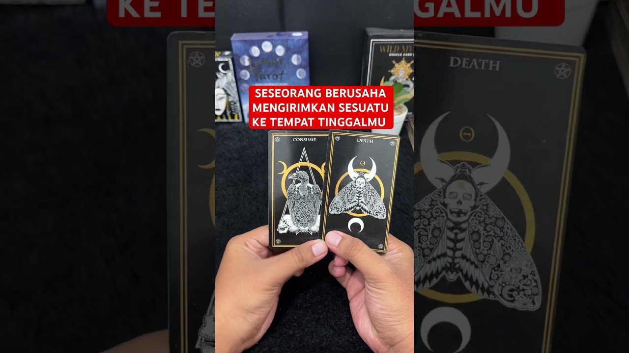 No momento, você está visualizando SESEORANG BERUSAHA MENGIRIMKAN SESUATU KE TEMPAT TINGGALMU #tarot #tarotreading