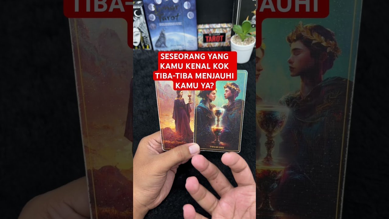 No momento, você está visualizando SESEORANG YANG KAMU KENAL KOK TIBA-TIBA MENJAUHI KAMU YA? #tarot #tarotreading