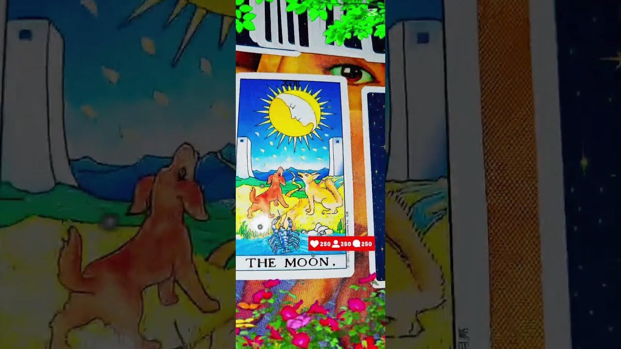 No momento, você está visualizando Sizga bitilgan qismat qanaqa #tarot #tarotreading #astrology #sevgi #fol #taqdir #tarotcards