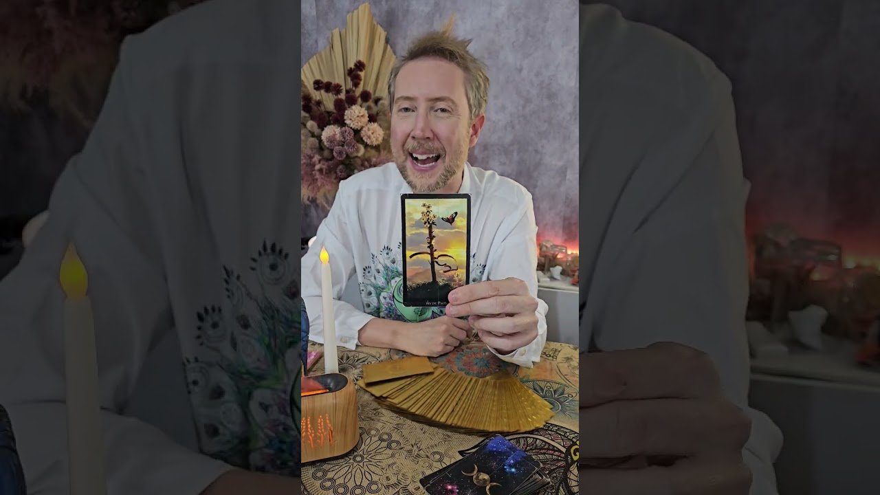 No momento, você está visualizando TAROT DE HOJE -REI DO ORÁCULO HOJE, BUBA TAROT HOJE, #tarot#horoscopo#taro #leituradetaro,tarodoamor