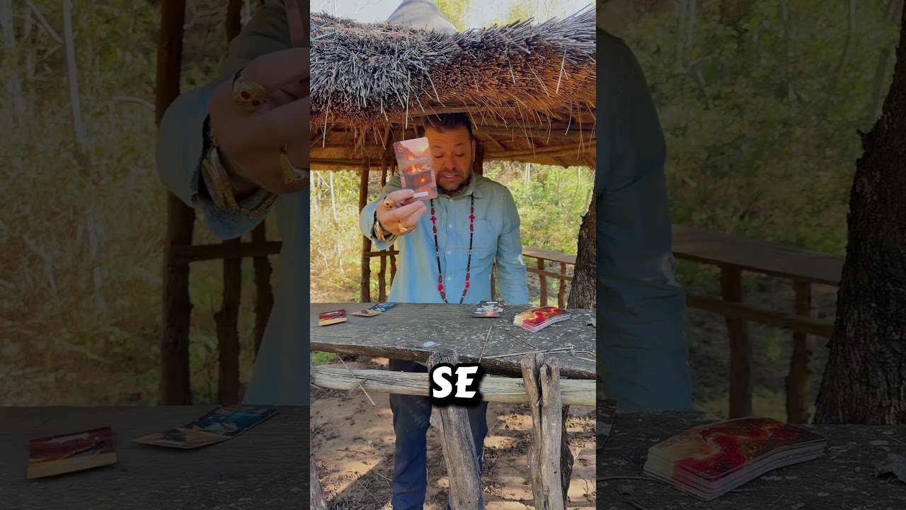 No momento, você está visualizando #tarot #tarologiamarianna #humor #comedia