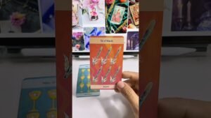 Leia mais sobre o artigo 🔮Wa 083862038067 berminat personal reading berbayar #tarot #soulhealingtarot #shorts #feedshorts