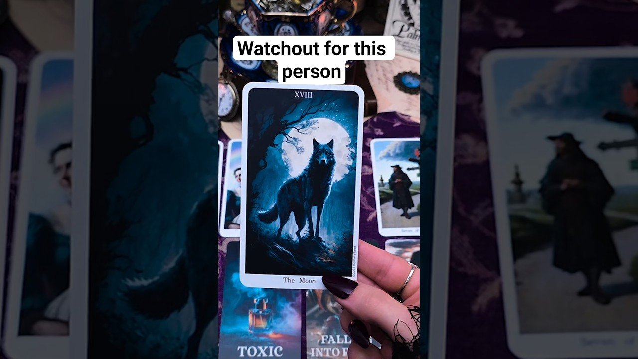 No momento, você está visualizando Watchout for this person #tarot #tarotreading #fortunetelling