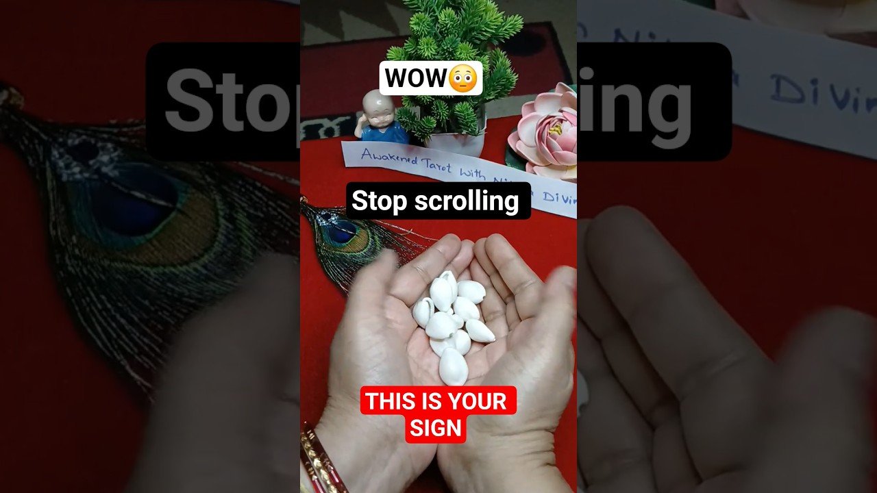 No momento, você está visualizando what’s Coming in your Life ✨️ #yt #shorts #youtubeshorts #foryou #tarot #viral #universe #love