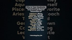 Leia mais sobre o artigo Your Zodiac Sign Reveals Your Soulmate #zodiac #zodiacsigns #astrology #horoscope #tarot