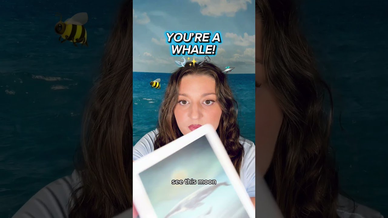 No momento, você está visualizando YOU’RE A WHALE! 🐋✨🗝️   #shorts #tarot #themetamystic