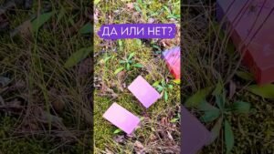 Leia mais sobre o artigo Да или нет? #таро #tarot #даилинет