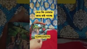 Leia mais sobre o artigo সেও কি তোমার জন্য কষ্ট পাচ্ছে #shortvideo #tarot