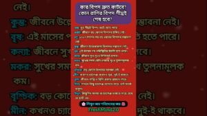 Leia mais sobre o artigo কোন রাশির বিপদ শীঘ্রই শেষ হবে? #zodiac #zodiacsigns #astrology #horoscope #tarot