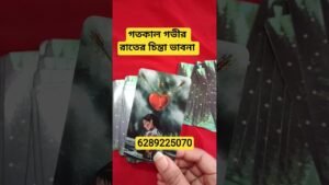 Leia mais sobre o artigo গতকাল গভীর রাতের চিন্তা ভাবনা #tarot#shortvideo #astrology