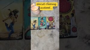 Leia mais sobre o artigo അവർ നിങ്ങളെ കുറിച്ച് എന്താണ് പറയുന്നത് #tarot #whatscomingupinlovelife #lovetarot #tarotreading