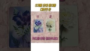 Leia mais sobre o artigo [타로] 3개월안에 들어올 대반전운 알려드릴게요 #tarot #대박 #행운#운세