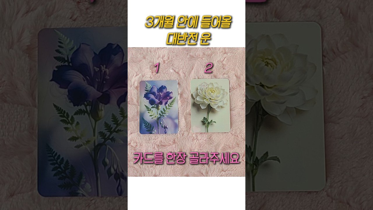 No momento, você está visualizando [타로] 3개월안에 들어올 대반전운 알려드릴게요 #tarot #대박 #행운#운세
