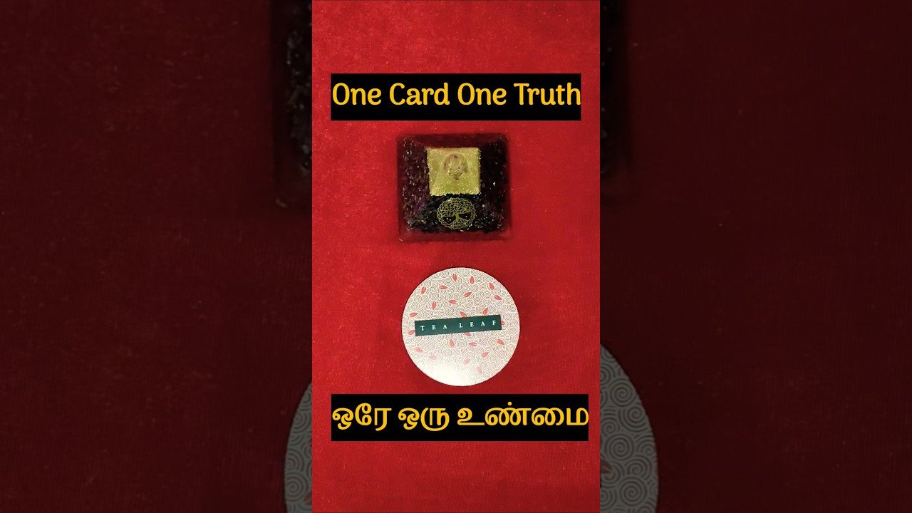 No momento, você está visualizando 👀 One Card One Truth | ஒரே ஒரு Card… உங்களுக்கான ஒரு உண்மை! | Tarot Reading Tamil #shortsfeed