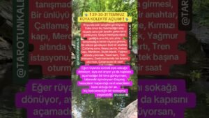 Leia mais sobre o artigo 29/30/31 RÜYA KOLEKTİF AÇILIMI #tarot #youtubeshorts #keşfetbeniöneçıkar #astroloji
