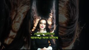 Leia mais sobre o artigo তোমার বহুদিনের ইচ্ছা আজ আসছে #shorts #shortsfeed #tarotreading #tarot #viral #love #shortvideo #shot