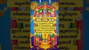 Leia mais sobre o artigo നിങ്ങളെ തടഞ്ഞുവെച്ചിരുന്ന സാഹചര്യങ്ങൾ പതിയെ മാറിത്തുടങ്ങുന്നു. #tarot #tarotreading #malayalam