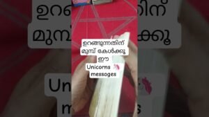 Leia mais sobre o artigo ഉറങ്ങുന്നതിന് മുമ്പ് കേൾക്കുവാൻ യൂണികോൺ സന്ദേശങ്ങൾ #angeloracle #tarot