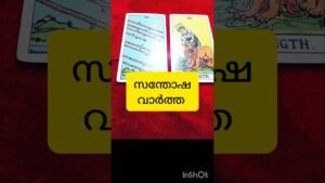 Leia mais sobre o artigo ഒരു മെസ്സേജ് ഉടൻ വരും #tarot #shortvideo #shortsfeed