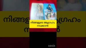 Leia mais sobre o artigo ആഗ്രഹം നടക്കണമെങ്കിൽ #tarot #shortvideo #shortsfeed