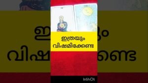 Leia mais sobre o artigo ഇത്രയും വിഷമിക്കേണ്ട #tarot #shortsfeed #shortvideo