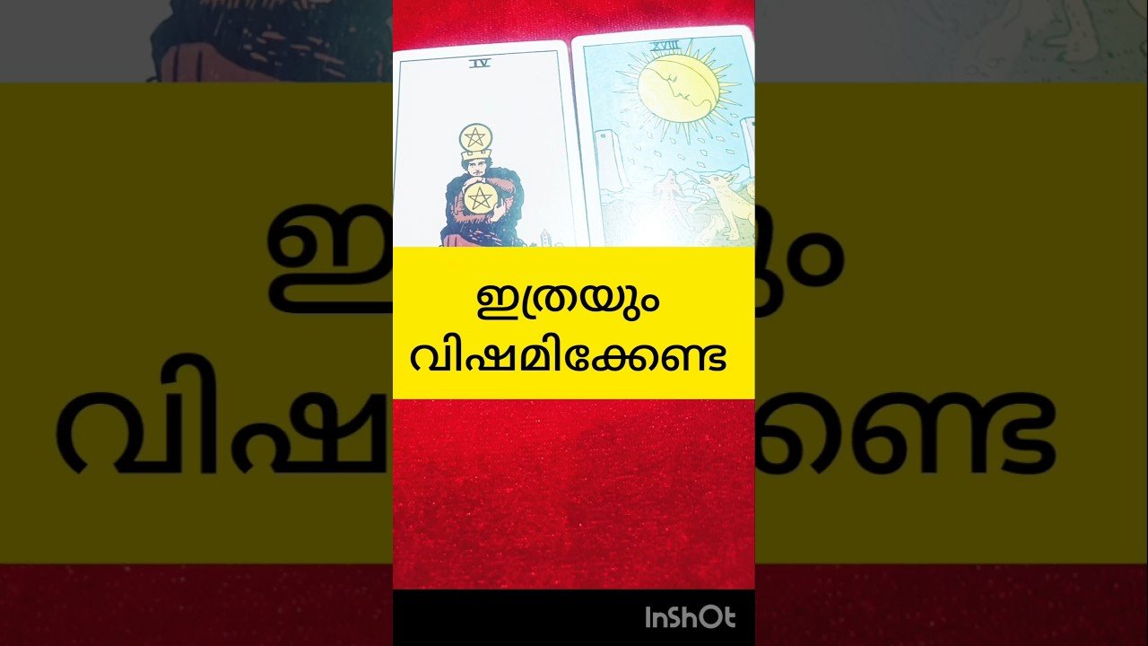 No momento, você está visualizando ഇത്രയും വിഷമിക്കേണ്ട #tarot #shortsfeed #shortvideo