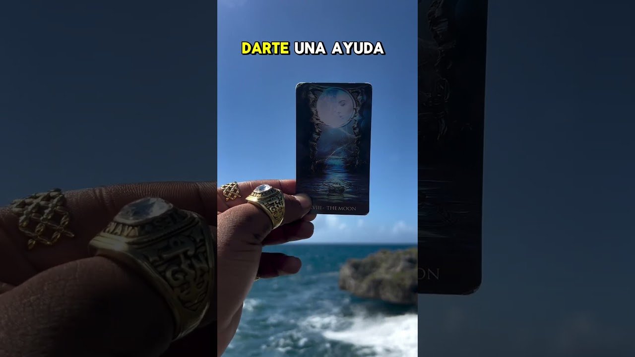 No momento, você está visualizando Acéptalo amén 🫵 #lecturadetarot #tarot #mensaje #usa #fyp #viral #shorts #foryou #feedshorts #video