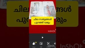 Leia mais sobre o artigo ചില സത്യങ്ങൾ #tarot #shirtsfeed#shirtvideo