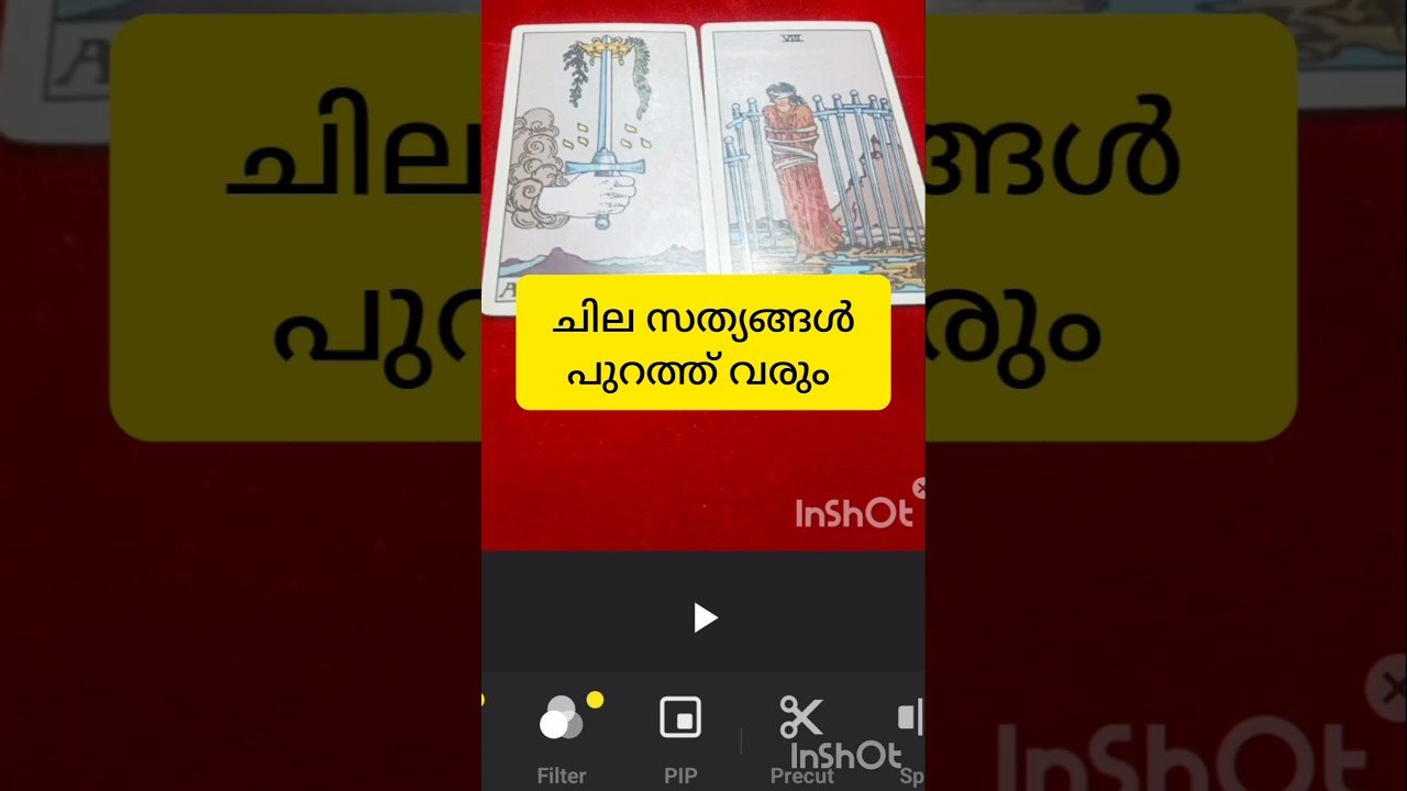No momento, você está visualizando ചില സത്യങ്ങൾ #tarot #shirtsfeed#shirtvideo